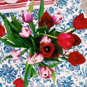 Meet your Posher, Ali