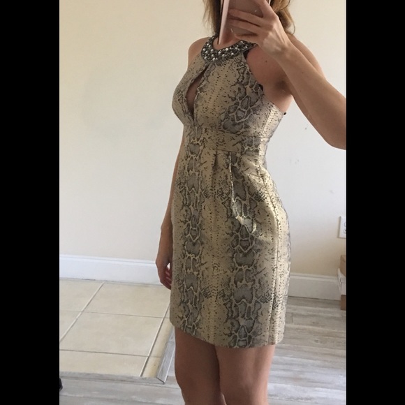 Laundry by Shelly Segal gold snake print dress