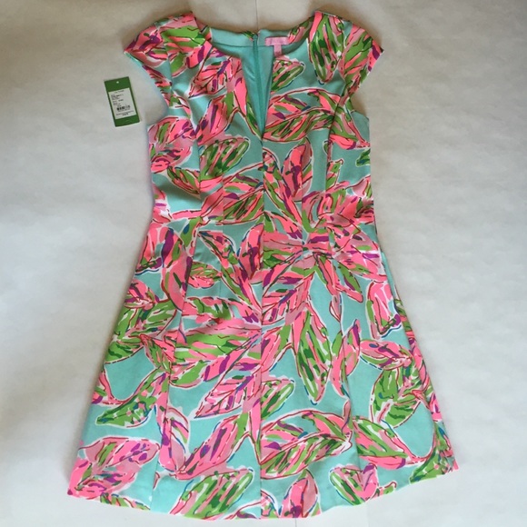 Lily Pulitzer Fit and Flare dress