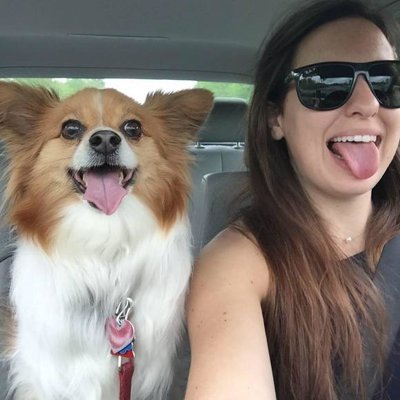 Meet your Posher, Em - Picture 1 of 1