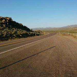 Meet your Posher, Adelina