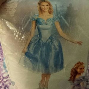 Cinderella Deluxe Adult Disney Costume