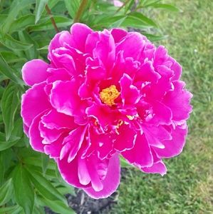 Meet your Posher, Cara