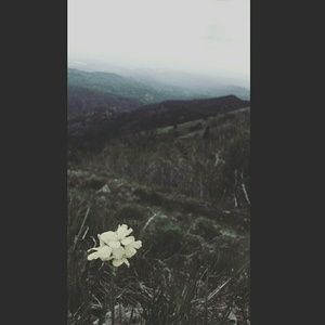 Meet your Posher, Mariah