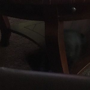 Meet your Posher, Malissa