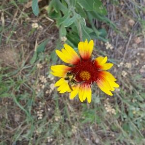 Meet your Posher, Zack