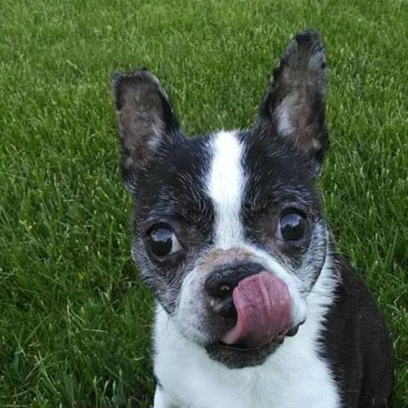 Meet your Posher, Erica - Picture 1 of 1