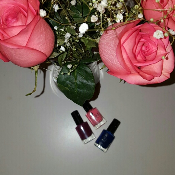 ⛄Three shades of polish! Nwot
