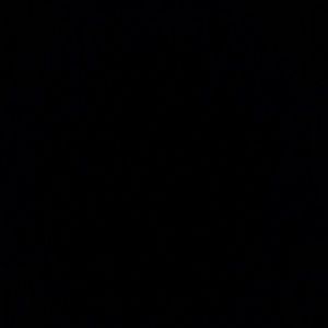 Meet your Posher, Tiesha