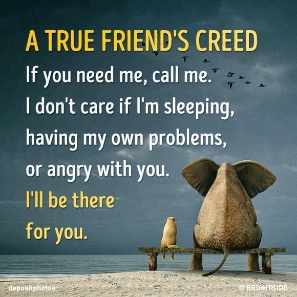 Meet your Posher, Ana - Picture 7 of 8