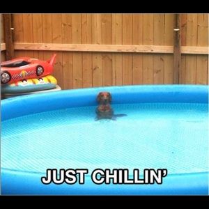 Meet your Posher, Colleen