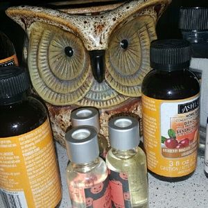 Owl wax oil warmer and oils
