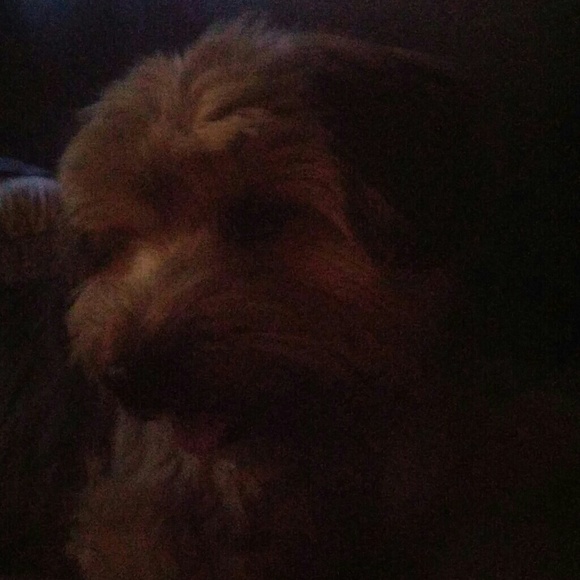 Meet your Posher, Jalina