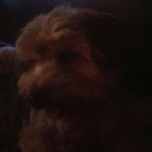 Meet your Posher, Jalina