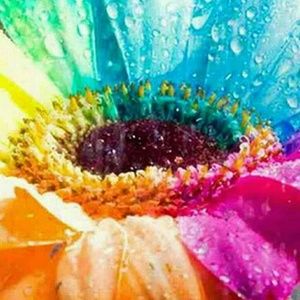 Meet your Posher, Mandy