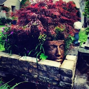 Meet your Posher, Bonnie