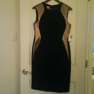 NWT  Anne Klein!! Brand new Anne Klein Dress