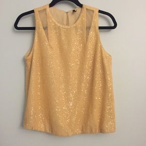 7 For All Mankind Sequin Top
