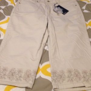 🆕 Gloria Vanderbilt