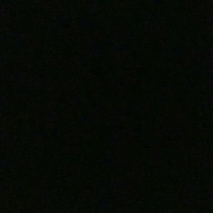 Meet your Posher, Rose