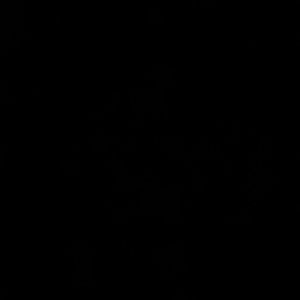 Meet your Posher, Barb