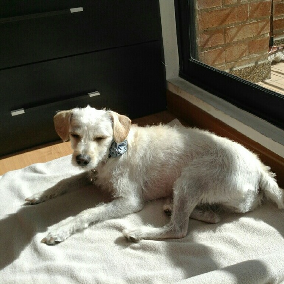 Meet your Posher, Cristina