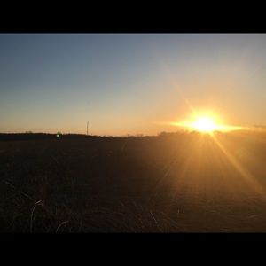 Meet your Posher, Riley