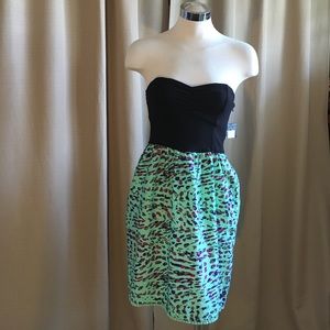 Strapless Hurley Dress