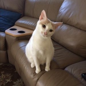 Meet your Posher, Ashley