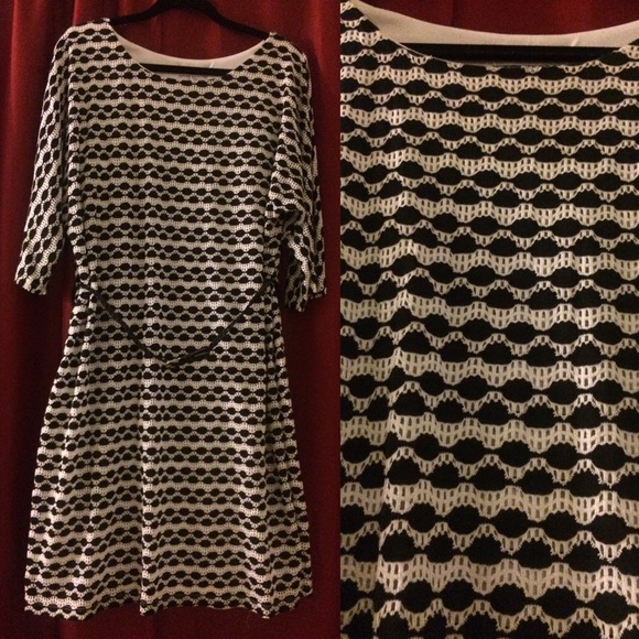 Lovely Black & Off White Knit Dress with Belt - Picture 1 of 1