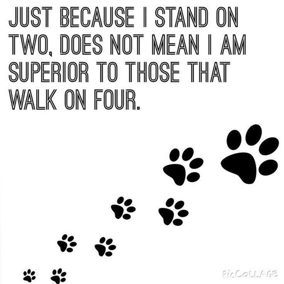 Meet your Posher, Ali