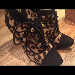 Leopard, "Gatsby Too"