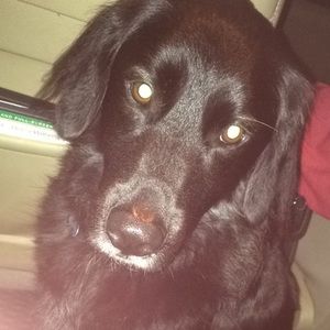 Meet your Posher, Jordan