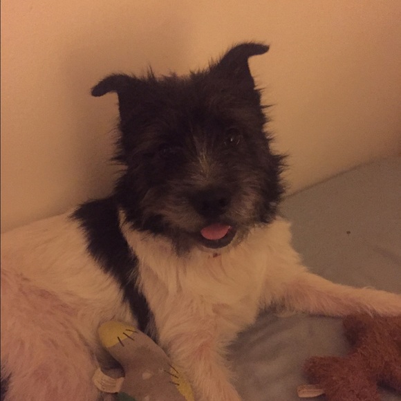 Meet your Posher, Michaela - Picture 1 of 1