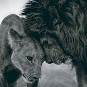 Meet your Posher, Jada