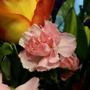 Meet your Posher, Sherry