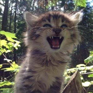 Meet your Posher, Rich