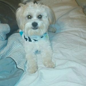 Meet your Posher, Paul