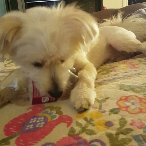 Meet your Posher, Dominique - Picture 1 of 1