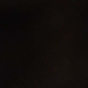 Meet your Posher, Peyton