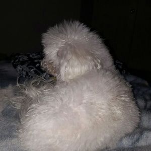 Meet your Posher, Yolanda