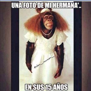 Meet your Posher, Mari