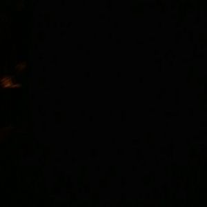 Meet your Posher, Alondra