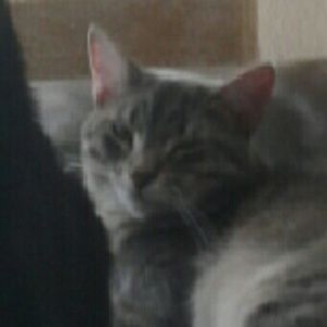 Meet your Posher, Alexa