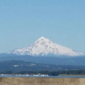 Meet your Posher, Katrina