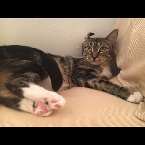 Meet your Posher, Devyn