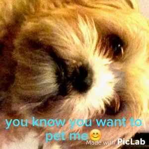 Meet your Posher, Aimee