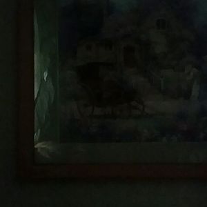 Meet your Posher, Judy