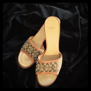 Vintage coach slides