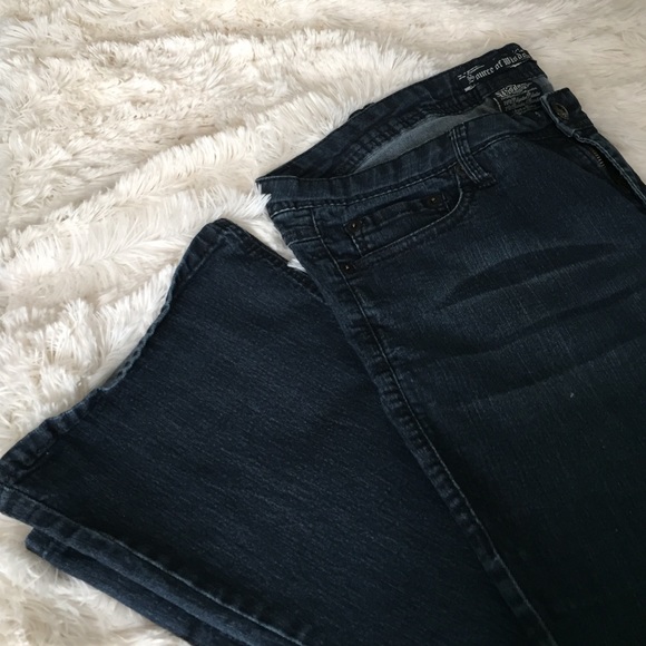 Torrid Source of Wisdom Bootcut Jean Sz 18